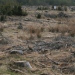 massakre2_IMG_4265